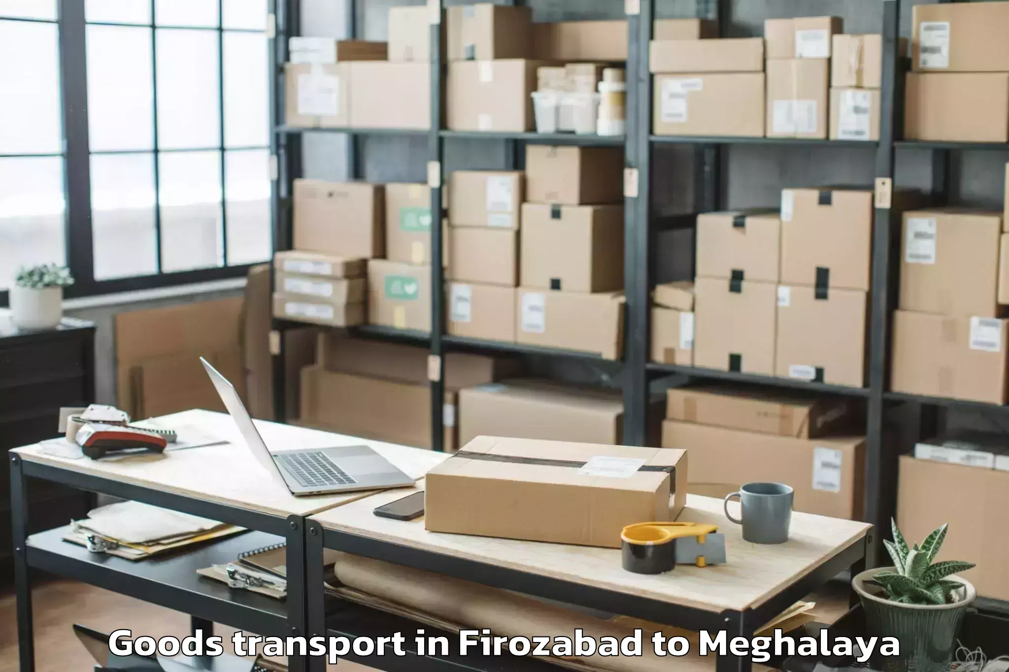 Quality Firozabad to Nit Meghalaya Goods Transport